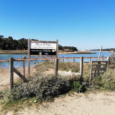 Marais vendeen